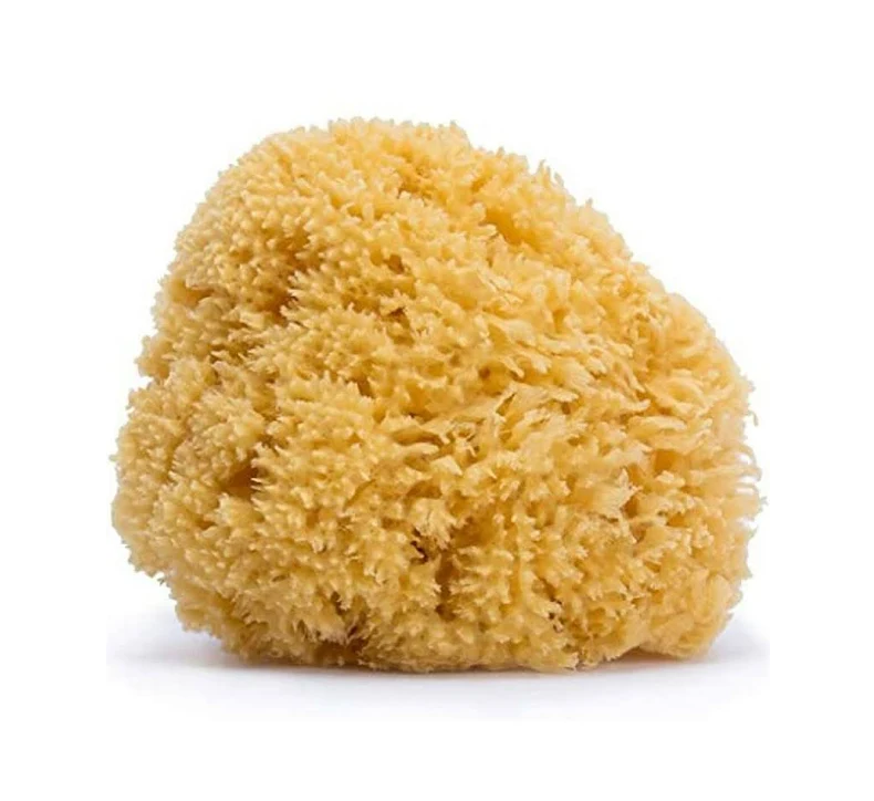 SUAVINEX SPUGNA NATURALE MEDIA