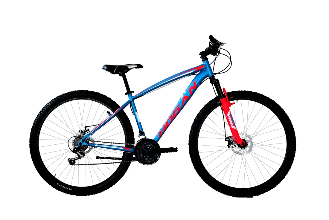 MASCIAGHI – MTB 29″ 21V – ACCIAIO UOMO con Freni a Disco